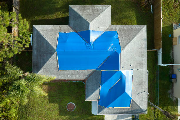 Best Roof Coating and Sealing  in Fox Chase, PA