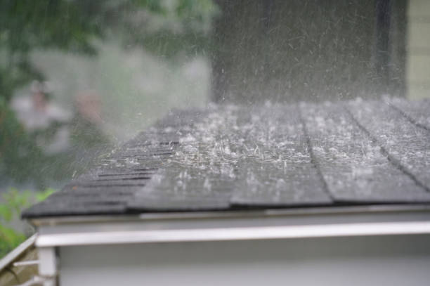 Best Rubber Roofing (EPDM, TPO)  in Fox Chase, PA
