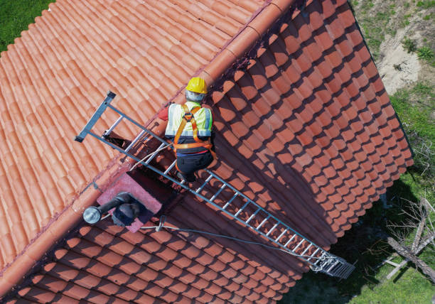 Best Steel Roofing  in Fox Chase, PA